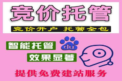 竞价推广中的预算分配与效果监控——以一成功企业为例